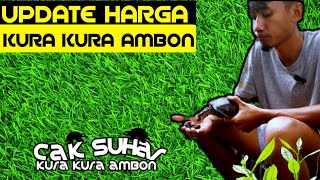 HARGA KURA KURA AMBON TERBARU [upl. by Conan]