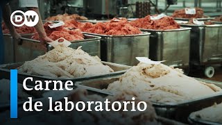 El consumo de carne y sus alternativas  DW Documental [upl. by O'Conner550]