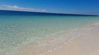 Riviera Towers Freeport Bahamas Unit 202 condo rental ocean view [upl. by Ettesel]