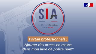 Tutoriel SIA  Portail professionnels  Ajouter des armes en masse dans mon livre de police num° [upl. by Googins492]