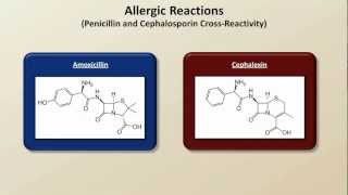 Important Side Effects and Toxicities Antibiotics  Lecture 8 [upl. by Casteel]