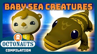 Octonauts  🦦 Cutest Baby Sea Creatures 🐬  2 Hours Full Episodes Marathon  Explore the Ocean [upl. by Eeralih958]