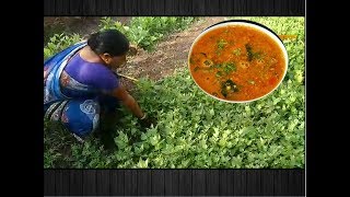 चाकवत भाजी गरगट्टा  Chakvat Bhaji  Bathua Sabji ki Dal  chakwat aamti  local dish of kolhapur [upl. by Sowell]