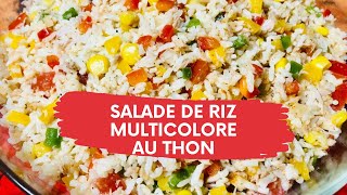 Salade de riz multicolore au thon [upl. by Flemings]