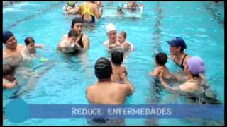 ACADEMIA DE NATACION ANGEL ROMERO [upl. by Oiragelo822]