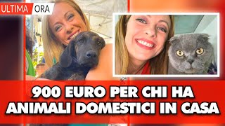 900€ a chi possiede animali domestici ecco come fare richiesta dal [upl. by Nari]