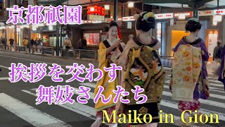 夜の京都祇園 芸舞妓さんたちが行き交う花見小路を歩く Walking along Gion HanamikojiKyoto 【4K】 [upl. by Enella]