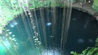 SACRED CENOTE  CANCUN  MEXICO [upl. by Ciprian736]