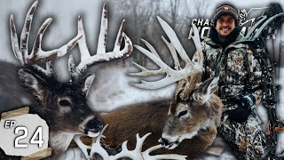 24 Degrees Leads To Giant Missouri Buck Our Best Hunting Season Is Over hunting deerhunting [upl. by Ehpotsirhc]