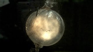 Underwater Explosions at 120000fps  The Slow Mo Guys [upl. by Jill]