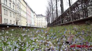 Alle Münchner Straßenbahnen von einer anderen Perspektive [upl. by Nerrej]