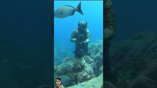 diving spearfish underwater spearfishinglife fishing hawaian scubadiving spearfishingworld [upl. by Drawoh]