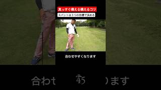 コースでも目標に真っすぐ構えるスパットの取り方 片山晋呉 golf ゴルフ shorts [upl. by Enoryt561]