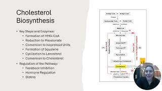 Lovastatin and its Pathway to Inhibit Cholesterol [upl. by Sucramaj]