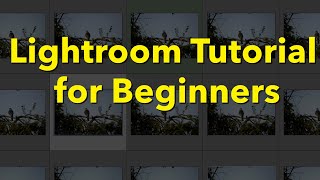 Lightroom Classic Tutorial for Beginners [upl. by Britton]