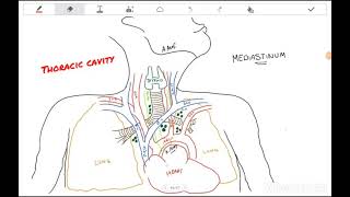 Mediastinal Syndrome SVC syndrome  Simplified English [upl. by Amaerd]