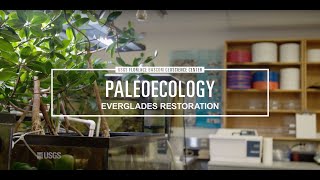 Paleoecology and Ecosystem Restoration Science at the USGS Florence Bascom Geoscience Center [upl. by Ule]