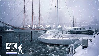 3 Hours of Heavenly Snowfall Walks in Finland  Slow TV 4K [upl. by Ebag]