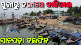 ଚିଲିକା ସାତପଡା ଡଲଫିନ  Puri To Chilika  Part 01 [upl. by Biel]