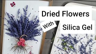 121편Drying Flowers with Silica Gel CrystalsHow To Frame Dried Flowers Ideally idea [upl. by Remo]