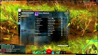 Guild Wars 2  La gestion des Guildes pour les nuls [upl. by Hertz105]