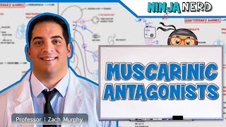 Autonomic Pharmacology  Muscarinic Antagonists [upl. by Haelak]