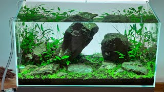 AQUASCAPING WITH A WORLD CHAMPION [upl. by Helli708]