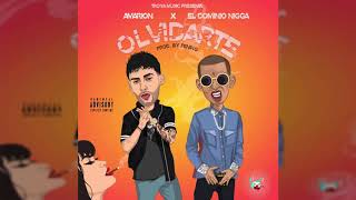 Amarion Ft Ele A quotEl Dominioquot  Olvidarte Prod By Feniko amp Kronix Magical [upl. by Airdnek]