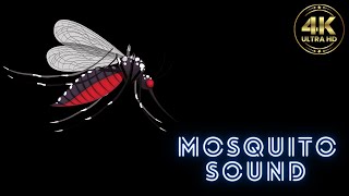 mosquito sound  mosquito sound effect  mosquito sound killer  mosquito sound repellent [upl. by Anikes]