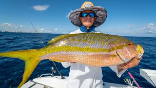 MONSTER Yellowtail Snapper Catch Clean Cook [upl. by Kaplan580]