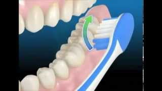 comment se brosser les dents correctement [upl. by Baxy202]