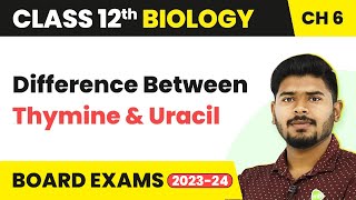 Class 12 Biology Ch 6 Difference Between Thymine and Uracil Molecular Basis of Inheritance 202223 [upl. by Torrance]