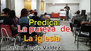 predica la pureza de la iglesia [upl. by Annoit]