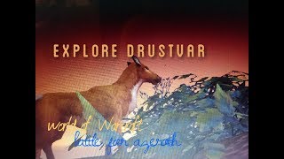 explore drustvar step4 western watchWoW BfA [upl. by Sesylu699]