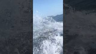 Water speed in boat water speed boat india sea shorts beach [upl. by Xonnel]