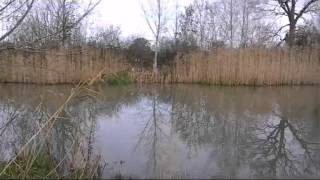 GABRIELS FISHERY admiral lake carp fishing [upl. by Andreana]