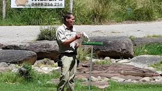 Birds show at Healesville Sanctuary  Australia [upl. by Iasi]