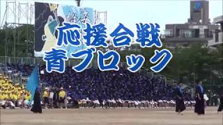 福岡工業大学附属城東高等学校 体育祭 2019 応援合戦 青ブロック [upl. by Wassyngton]