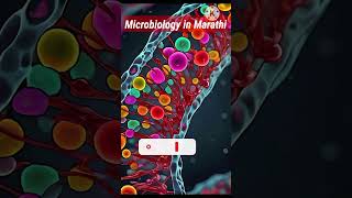 Plasmid  Microbiology in 1 Min [upl. by Idnew]