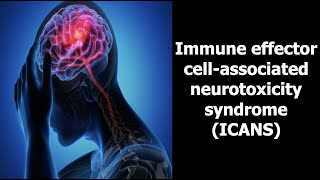 Immune effector cell associated neurotoxicity syndrome ICANS [upl. by Yauqram]