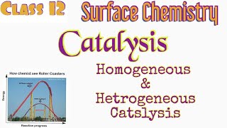 CatalysispromotersPoisonHomogeneous catalysisHetrogeneous catalysisClass 12Malayalam [upl. by Erreit]