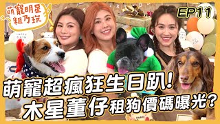 SUB EP11 萌寵瘋狂生日趴 木星 董仔 Sandy 精心布置DIY！壽星 呵喜 摳比為禮物大打出手【 萌寵明星粗乃玩 】JupiterlinTgopdone haveapetday [upl. by Brooking]