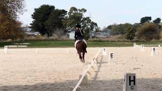 Rachem Firefly Lancefield CT Dressage [upl. by Anya]