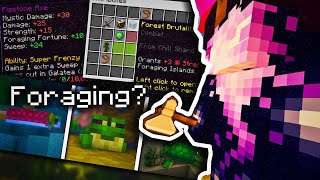 Where is the foraging update Hypixel Skyblock [upl. by Eneluj]