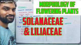 Morphology of flowering plants  Solanaceae and Liliaceae [upl. by Ettellocin]