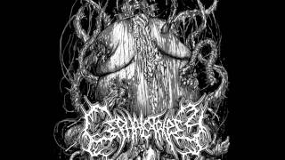 Cephalotripsy  Ulcerated Mass of Pestilent Engorgement New Promo 2011 [upl. by Dnaltroc]