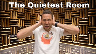 The Loudest Sound In The Quietest Room [upl. by Alphonsa]