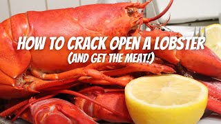 How To Crack Open a Lobster and get the meat Part 1 [upl. by Ecirtal719]