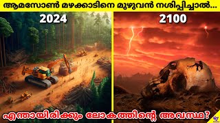 What Happens If Amazon Rainforest Is Completely Destroyed  Facts Malayalam  47 ARENA [upl. by Wehttan]