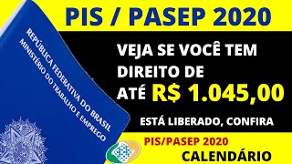 PISPASEP2020  PIS PASEP PAGAMENTO 2020  QUEM TEM DIREITO CALENDÁRIO DE PAGAMENTO 20202021 [upl. by Hamilah]